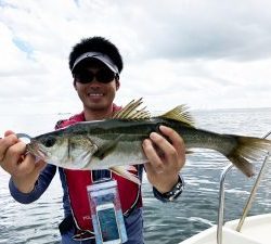 THESEAMAN(ザシーマン) 釣果