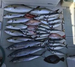 さぶろう丸 釣果