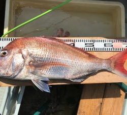 さぶろう丸 釣果