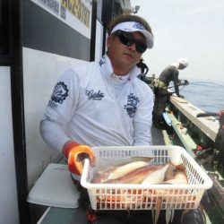 大進丸(愛知) 釣果