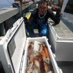 大進丸(愛知) 釣果