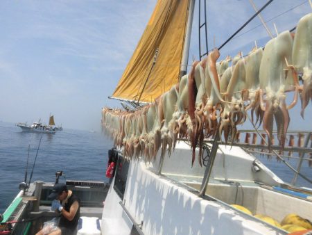 大進丸(愛知) 釣果