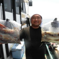 大進丸(愛知) 釣果