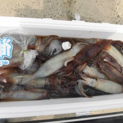 大進丸(愛知) 釣果