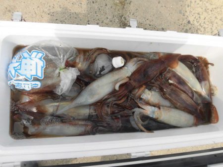 大進丸（愛知） 釣果