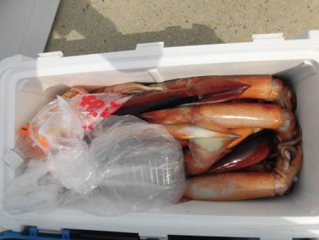 大進丸(愛知) 釣果