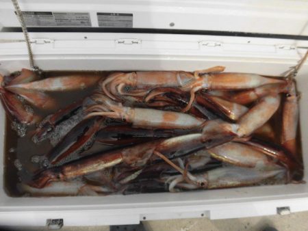 大進丸(愛知) 釣果