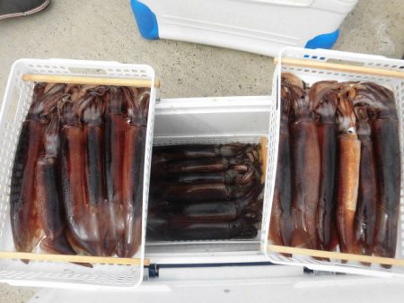 大進丸(愛知) 釣果