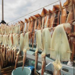 大進丸（愛知） 釣果