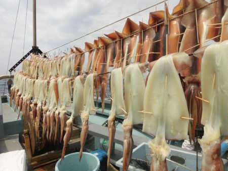 大進丸（愛知） 釣果