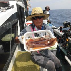 大進丸（愛知） 釣果