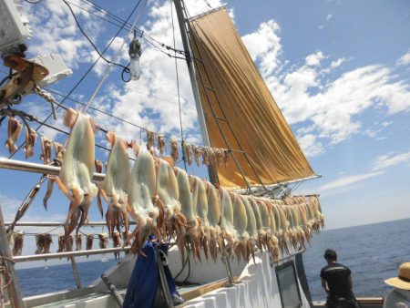大進丸(愛知) 釣果