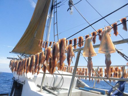 大進丸(愛知) 釣果