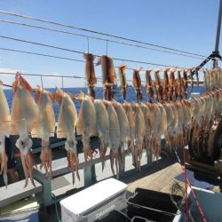 大進丸(愛知) 釣果