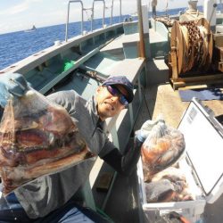 大進丸(愛知) 釣果