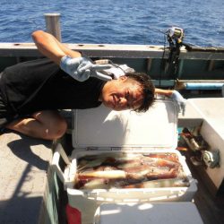 大進丸(愛知) 釣果