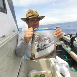 大進丸(愛知) 釣果