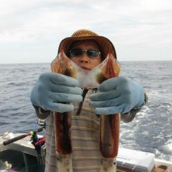 大進丸(愛知) 釣果