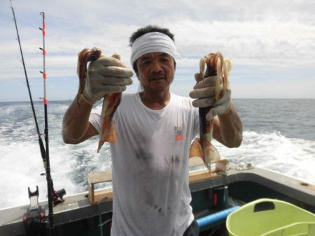 大進丸(愛知) 釣果
