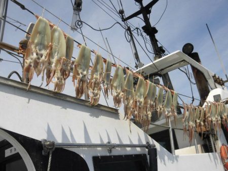 大進丸（愛知） 釣果