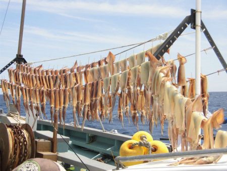 大進丸（愛知） 釣果
