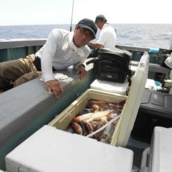 大進丸（愛知） 釣果