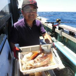 大進丸（愛知） 釣果