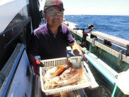 大進丸（愛知） 釣果