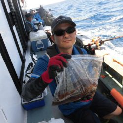 大進丸（愛知） 釣果