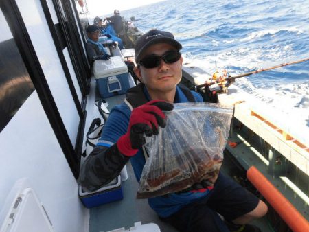 大進丸（愛知） 釣果