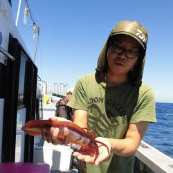 大進丸（愛知） 釣果