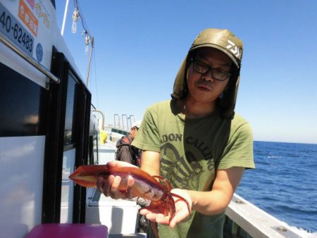 大進丸（愛知） 釣果