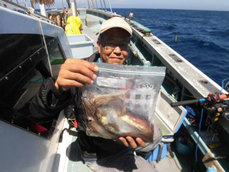 大進丸（愛知） 釣果