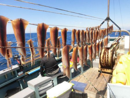 大進丸（愛知） 釣果