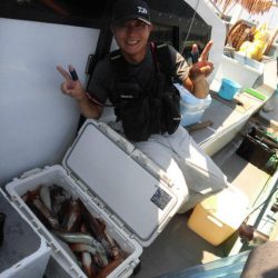 大進丸（愛知） 釣果