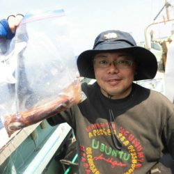 大進丸（愛知） 釣果