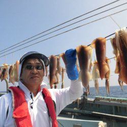 大進丸（愛知） 釣果