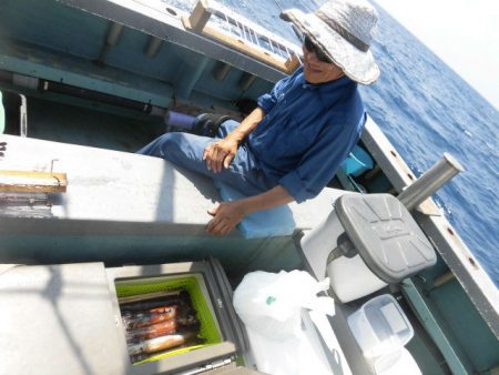 大進丸（愛知） 釣果