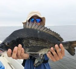 THESEAMAN(ザシーマン) 釣果