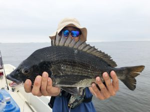 THESEAMAN(ザシーマン) 釣果