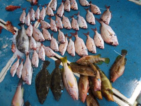 十八宝洋丸 釣果