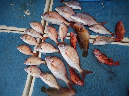 十八宝洋丸 釣果