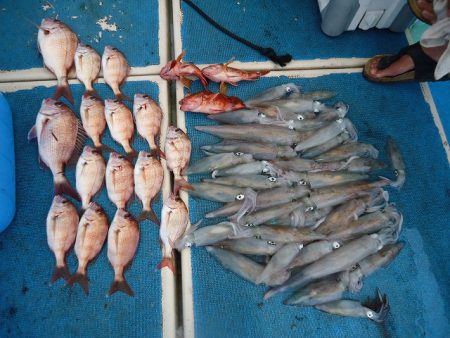 十八宝洋丸 釣果