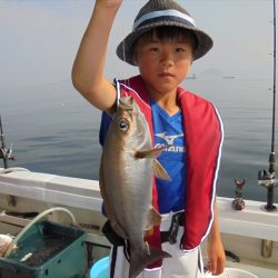 ＨＡＲＵＫＡ丸　はるかまる 釣果