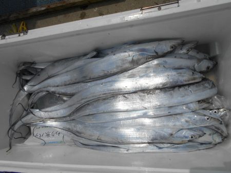 大進丸（愛知） 釣果