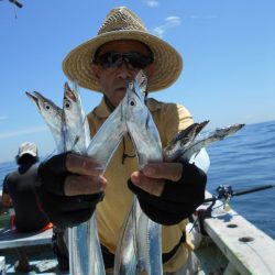 大進丸（愛知） 釣果