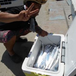 大進丸（愛知） 釣果