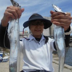 大進丸(愛知) 釣果