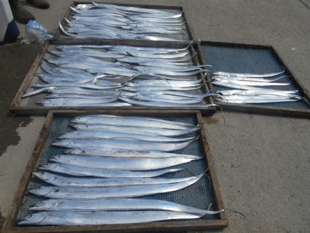 大進丸(愛知) 釣果