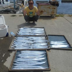 大進丸(愛知) 釣果